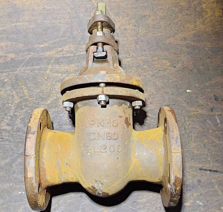 Zasuwa żeliwna zawór PN10 DN80 ZL200
