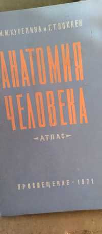 Анатомія человека 1971рік