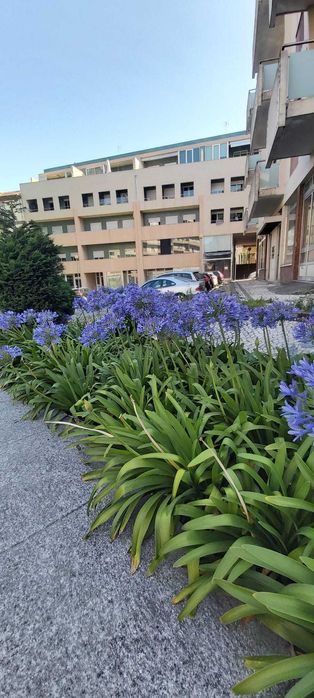 Loja com 50m2 a 700m da Estação e do Centro Histórico (freguesia Sé)