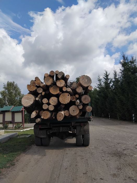 Продам дрова дуб, ясен
