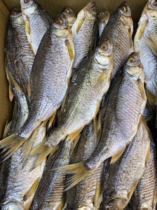 Тарань с икрой чищеная. Вяленая рыба.Рыба вяленая.Плотва с икрой.