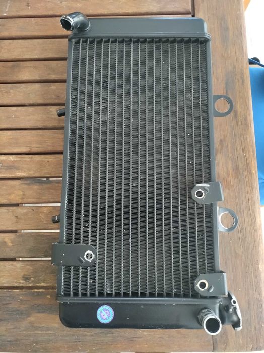 Radiador moto BMW f650 st