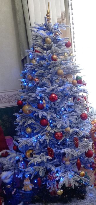 Ялинка альпійська засніжена 180см.