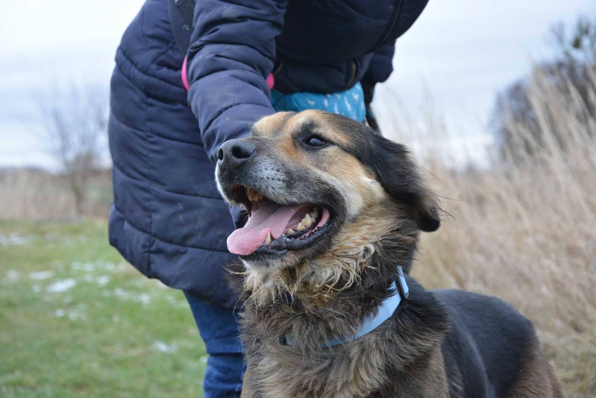 Kornel szuka nowej rodziny ADOPCJA