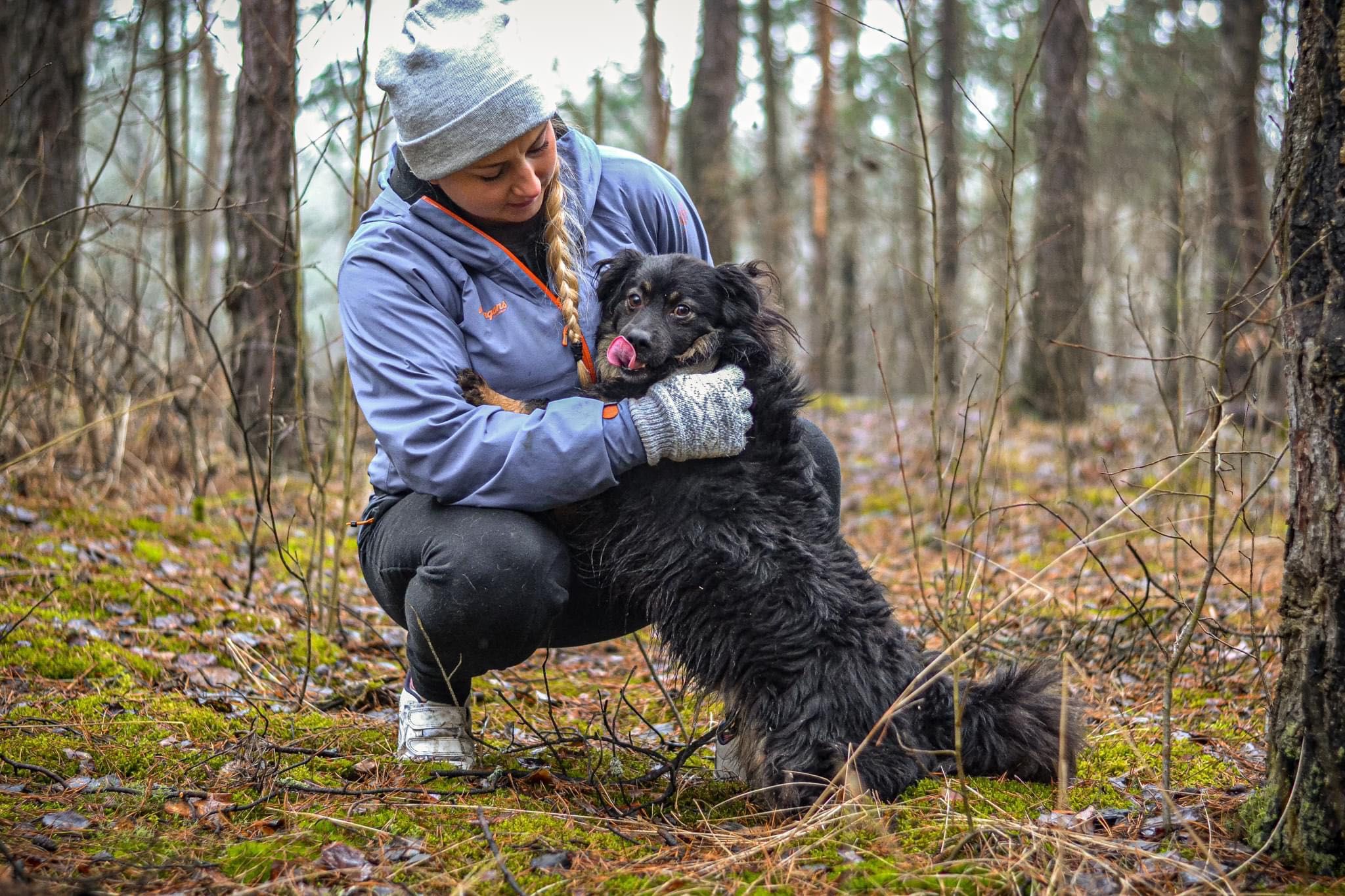 Młody uroczy słodki psiak do adopcji