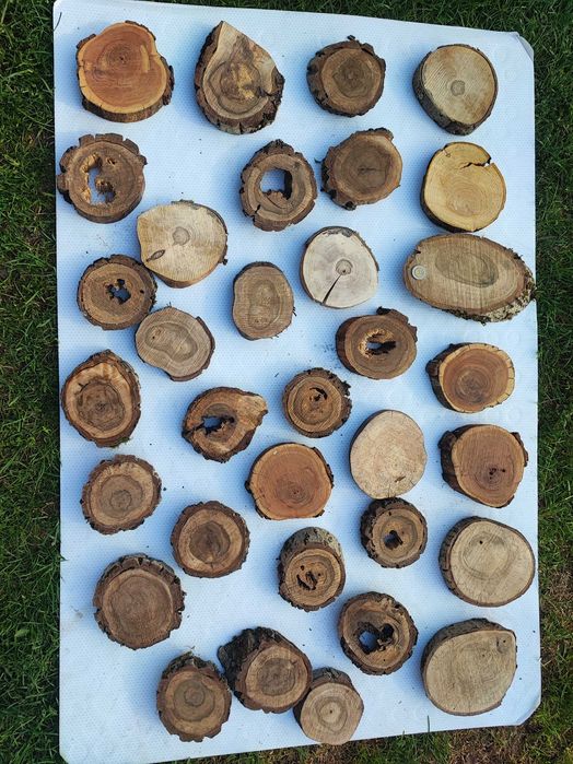 Plasterki orzech włoski, jabłoń, śliwa