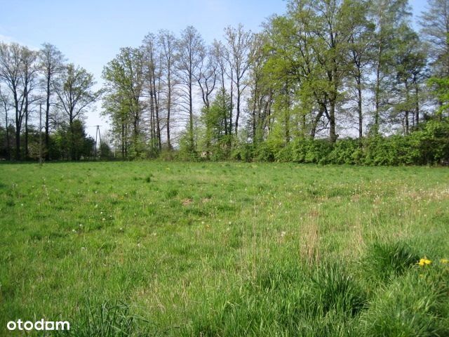 Skoczów, Kiczyce -działka budowlana na sprzedaż.