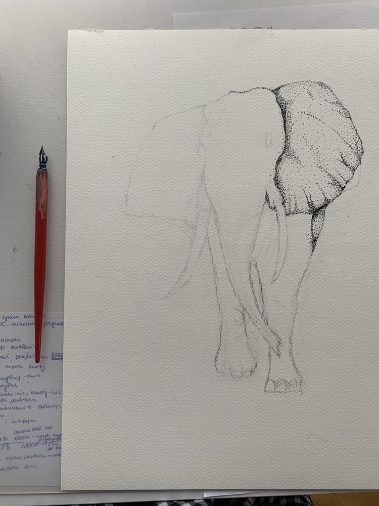Grafika piórko atrament rękodzieło rysunek 30 x 40