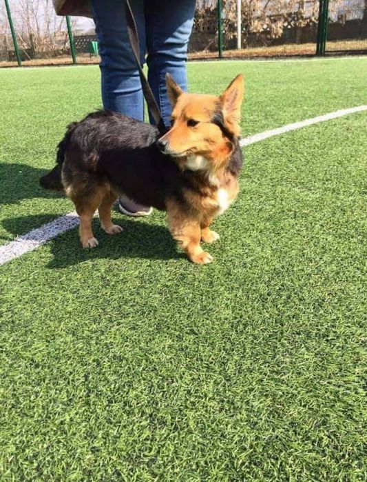 Загубилася ,допоможіть знайти