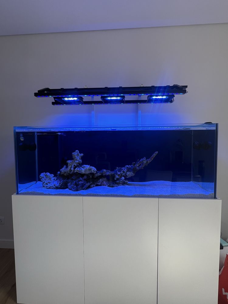 Aquário Agua Salgada