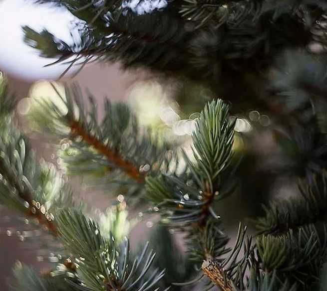 Объектив для Nikon f/2,8 100mm МС Калейнар-5Н 2.8/100 портретный MC 5H