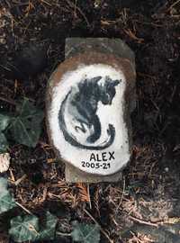 kamień pamiątkowy/nagrobny dla kota