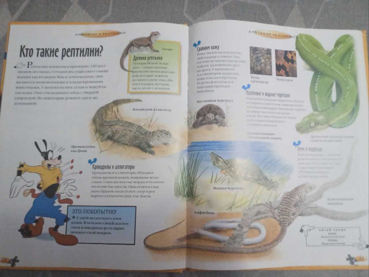 Дитяча енциклопедія "Открой мир вокруг себя. Амфибии и рептилии"Disney