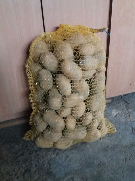 Ziemniaki workowane 17 (10+..x15 kg) hurt 20 ( 15 kg ) detal