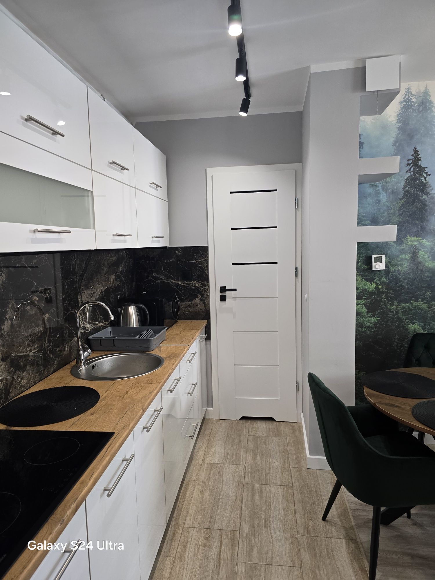 Apartament noclegi