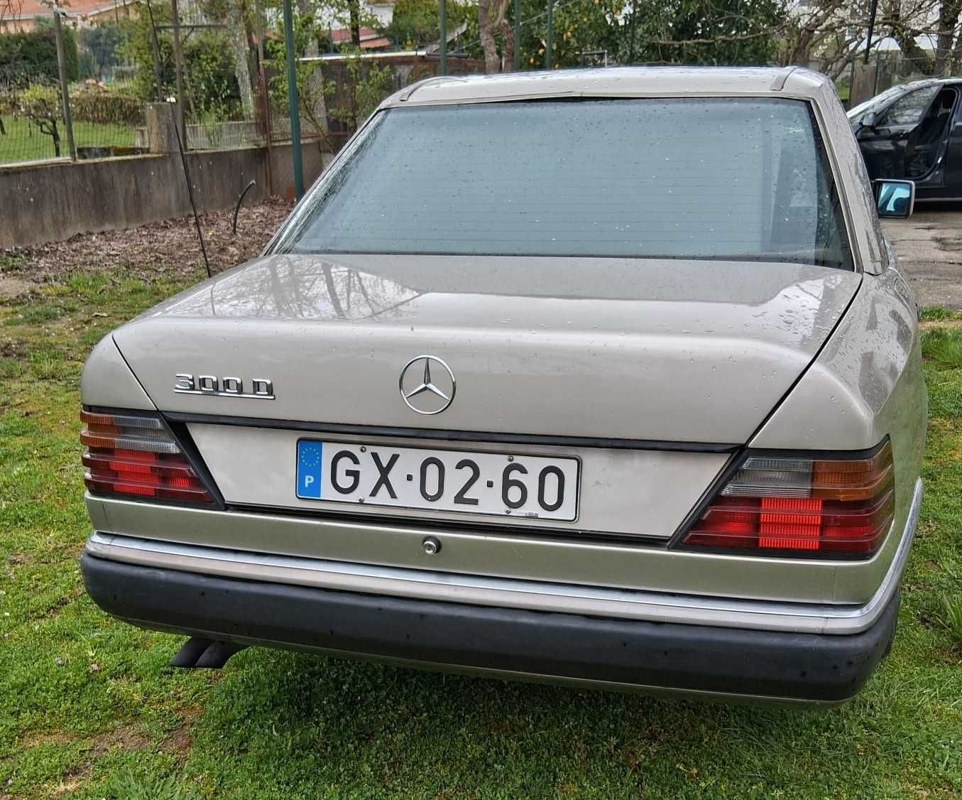 Mercedes-Benz 300D (124)
