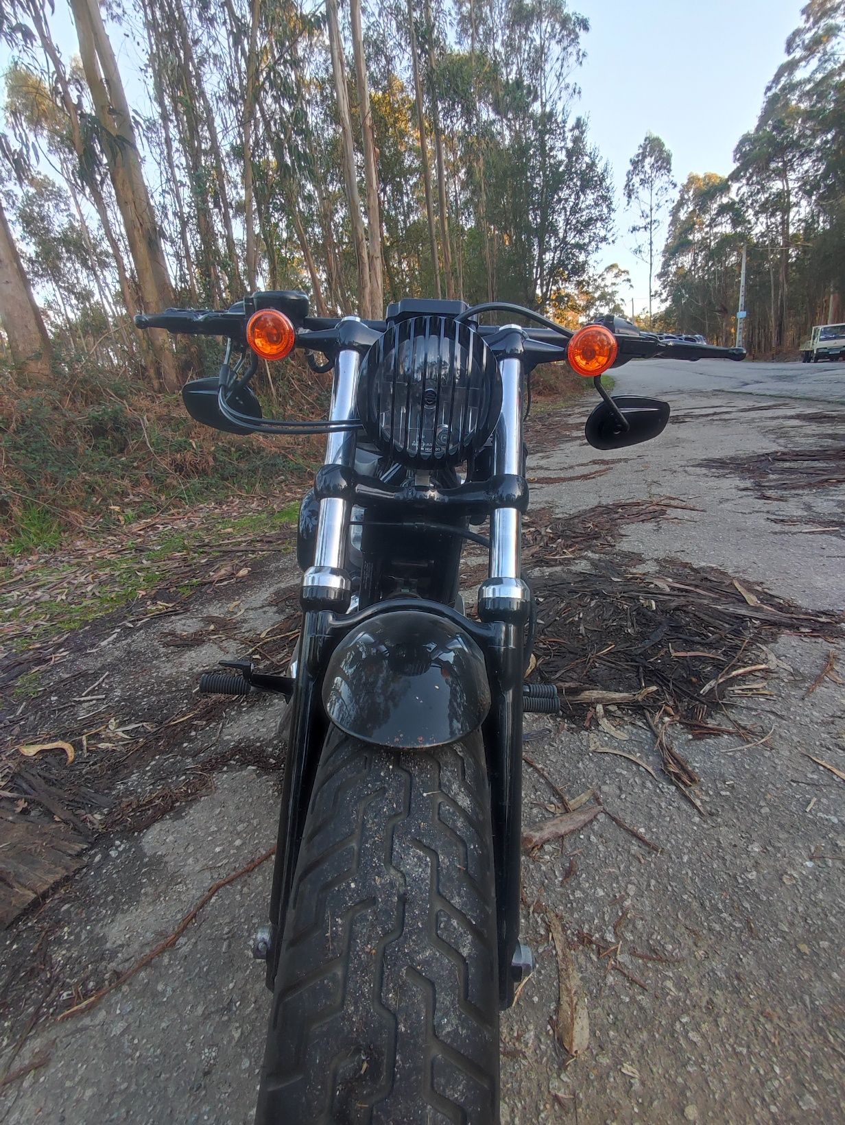 Harley Davidson sportster 48
