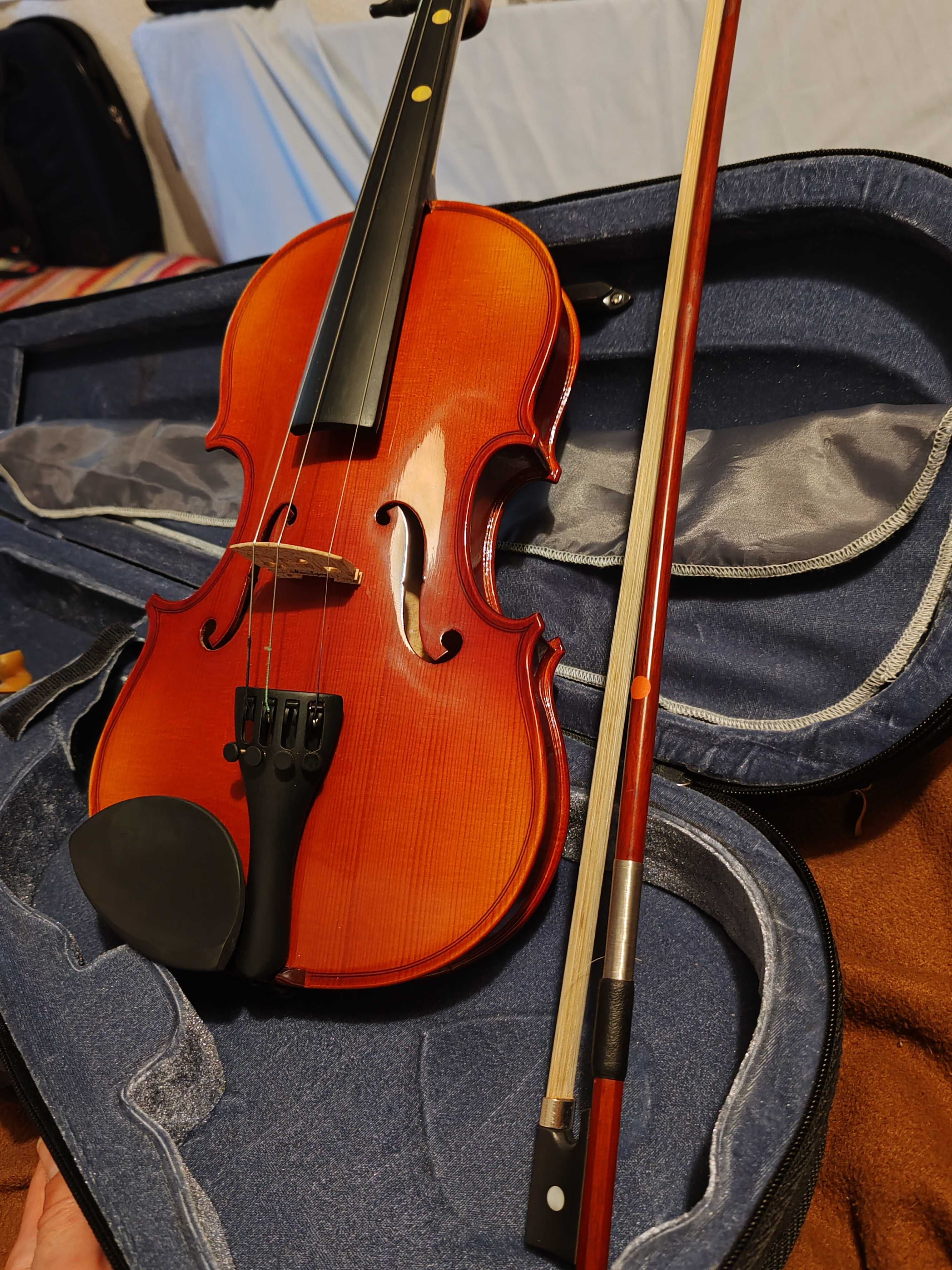 Violino com estojo