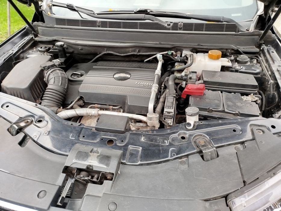 Завезений із Німеччини