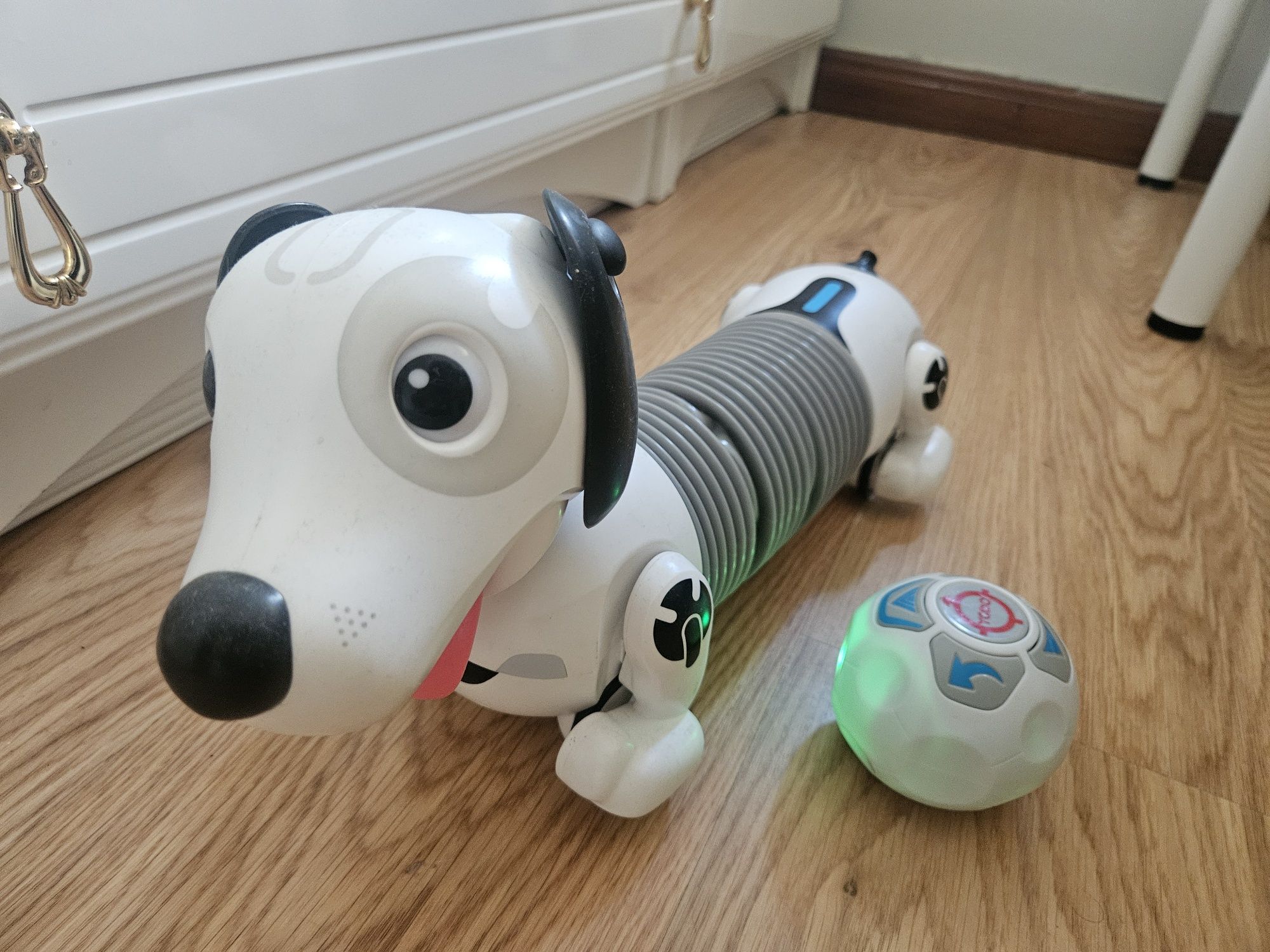 Robot cão a funcionar