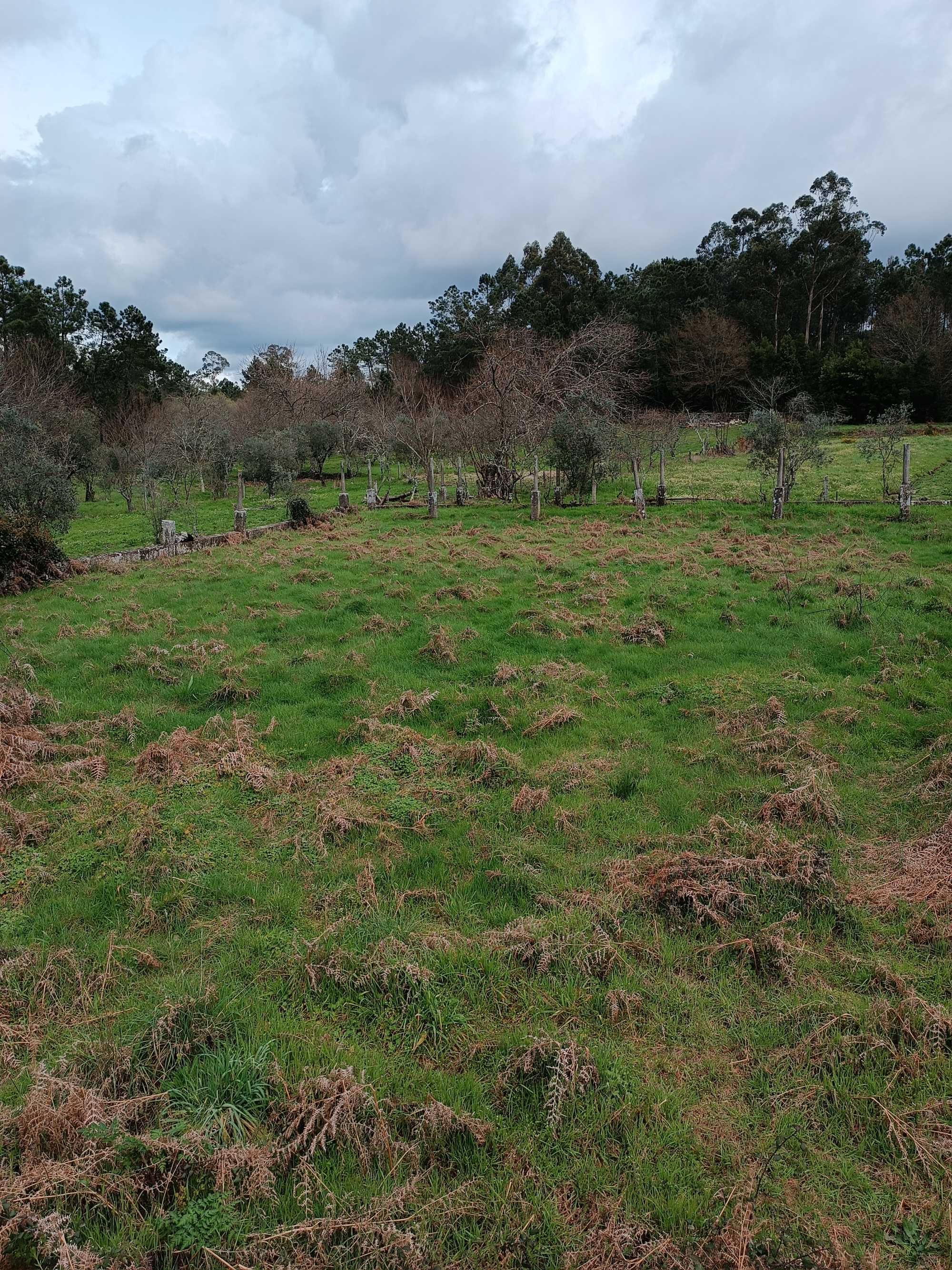 Terreno em Viseu para construção com 2 casas em ruina