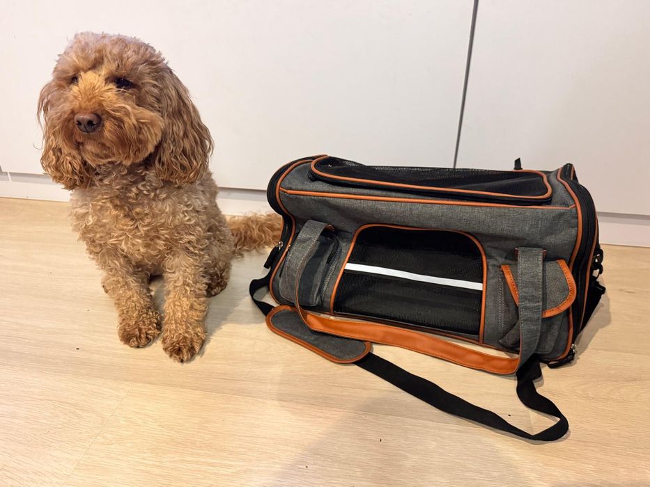 Transporter torba dla psa