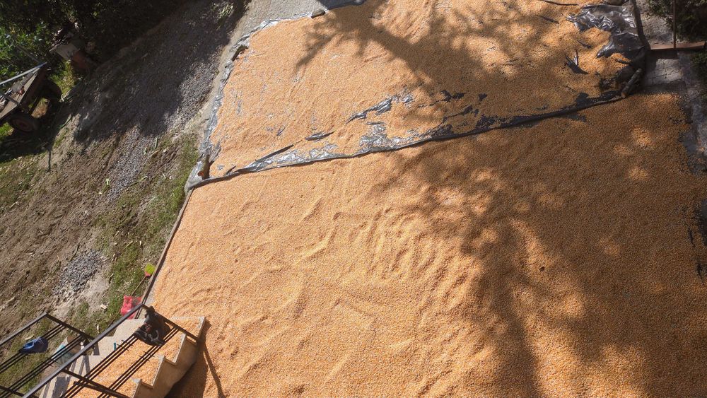 Produtos biológicos