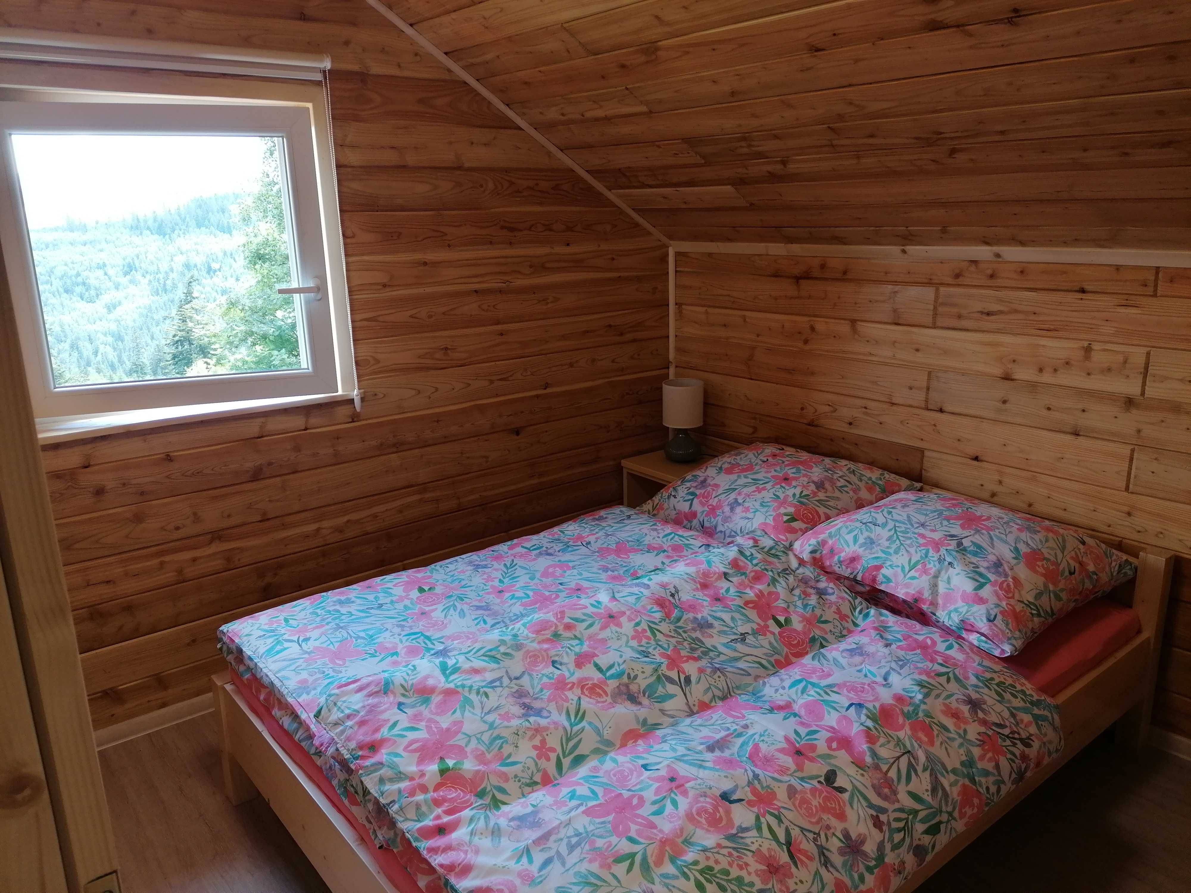 Domek na Skolnitym, Wisła