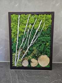 Handmade obraz z mchu chrobotka drewno