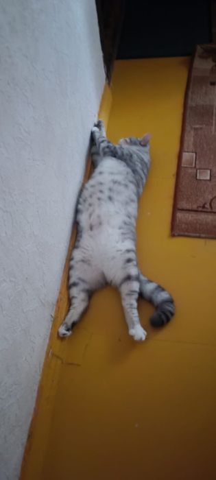 Тепловізійна камера на фпв дрон