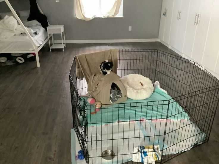 Манеж клетка 180х60х61h 8 секций с дверкой для собак щенков кролика