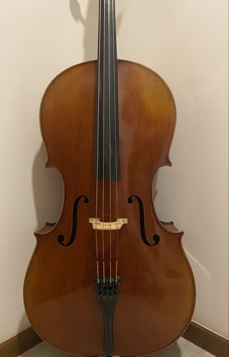 Violoncelo 4/4 “Sasha & Vieira”