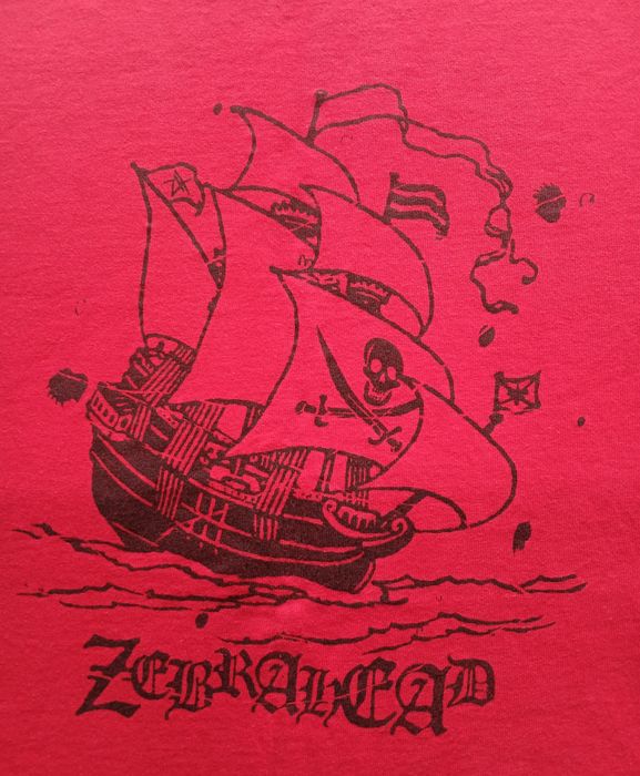 Винтаж мерч футболка grunge punk hardcore группы Zebrahead 00гг
