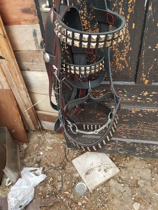 Кантар вуздечка наголовник