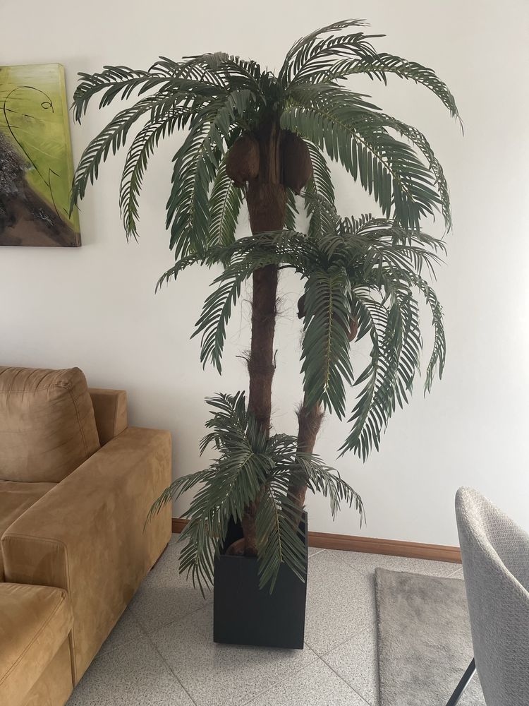 Planta decorativa