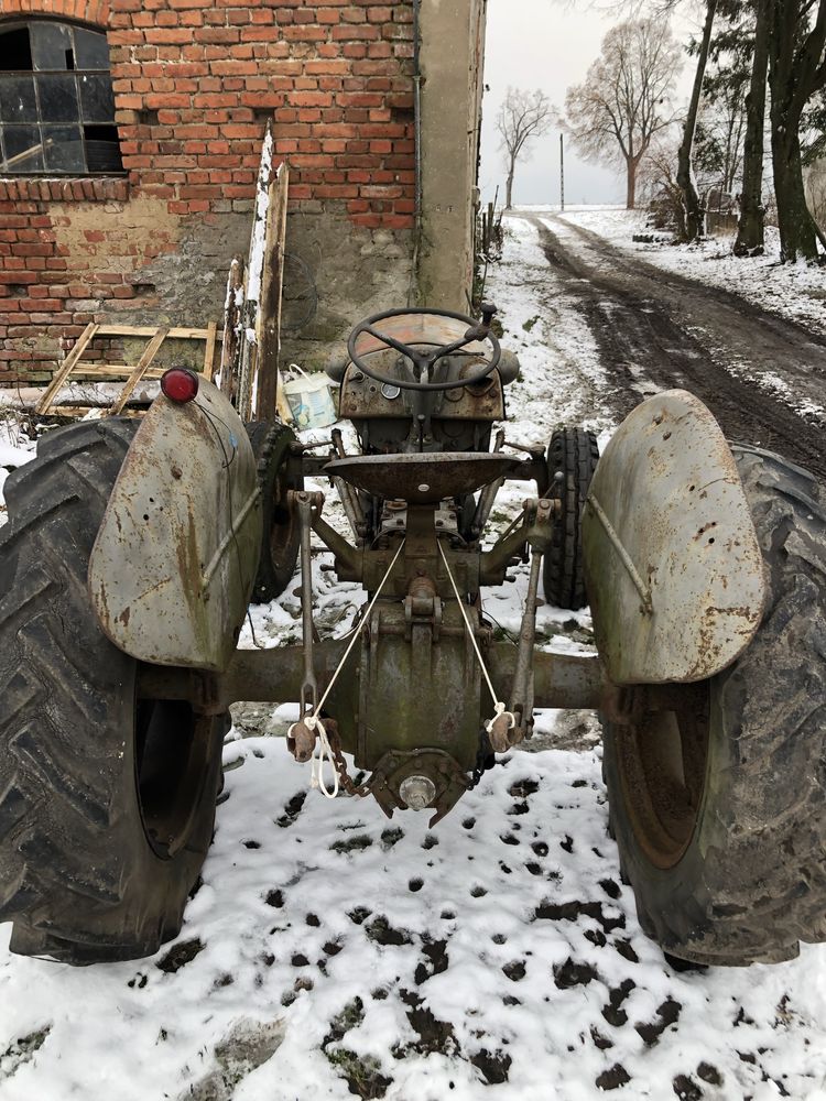 Ferguson TVO 20 benzyna Tea 20 Massey