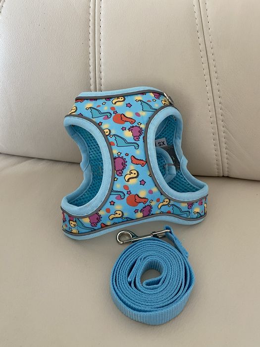 Жилетка для собак світловідбиваюча + повідок