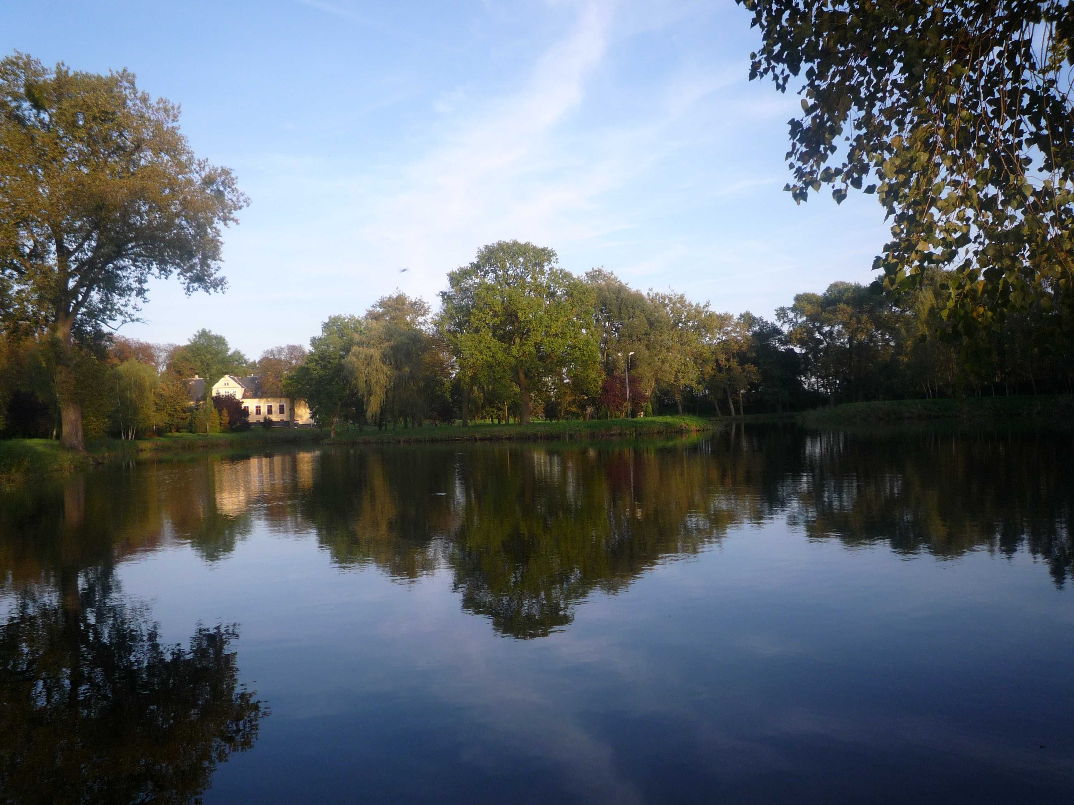 dworek dwór pałac park zabytek Popowo Kościelne gm.Mieścisko 5,03ha