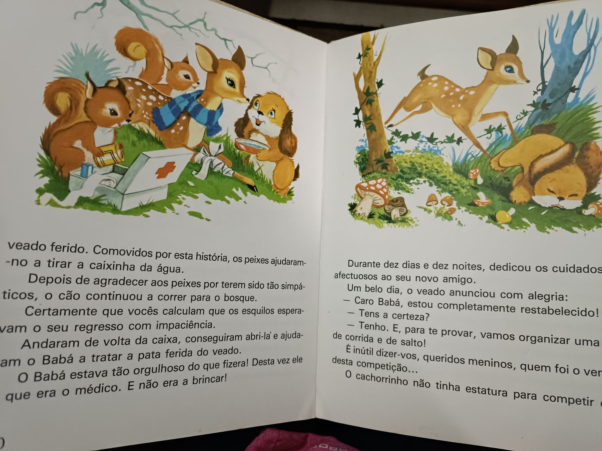 Livro infantil Festa nos bosques