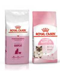 Royal Canin Babycat 10kg +5*kitten 400g Gratis wiaderko na karmę