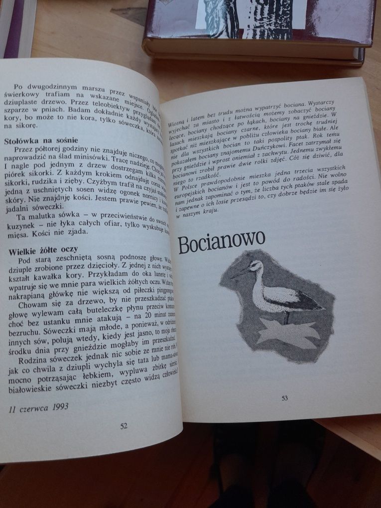 Książka Zapiski Wajraka
