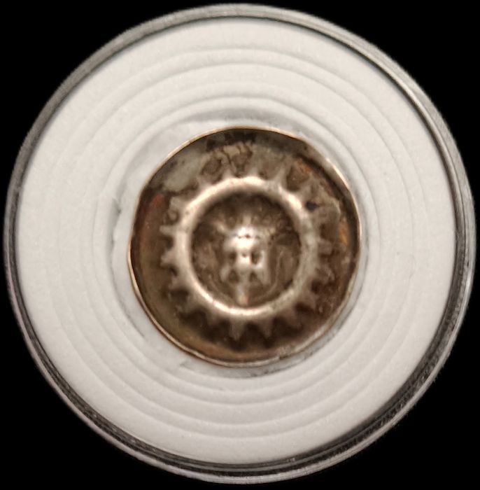 Gryfia XIV w.; głowa na wprost ukoronowana, promienisty otok.