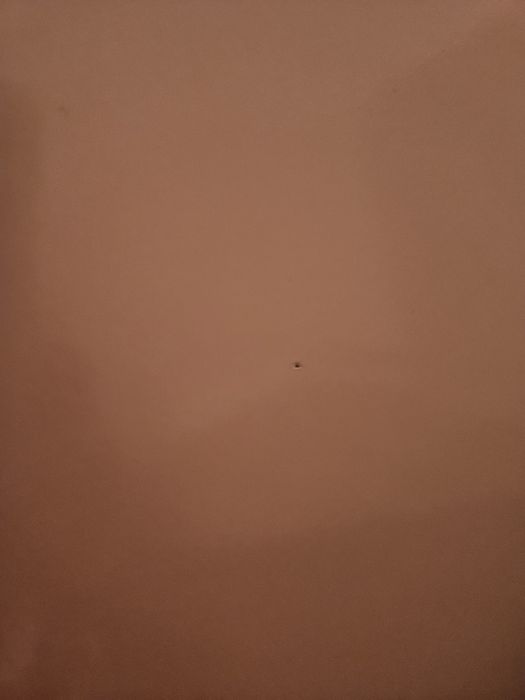 Vox Young Users, nakladki 2 szt