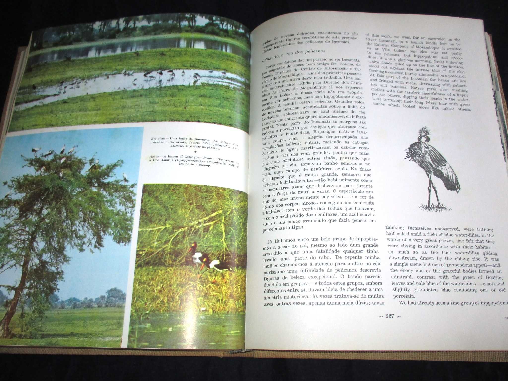 Livro Santuário Bravio Gorongosa e Moçambique Eça de Queiroz 1964