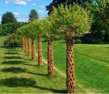 WIERZBA PLECIONA z wierzby wiciowej  160-180 cm Cena 150 zł