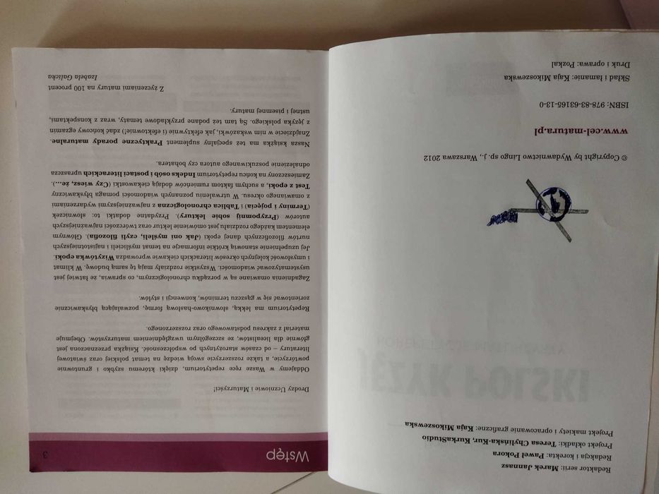 język polski korepetycje maturzysty