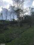 Działka leśno-budowlana Wołowiec, Beskid Niski