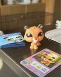 littlest pet shop #18 tygrys