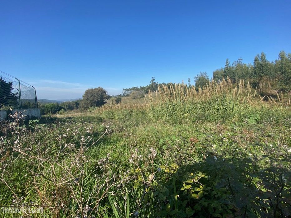 Terreno com 3.100 m2 - Vidais, Caldas da Rainha