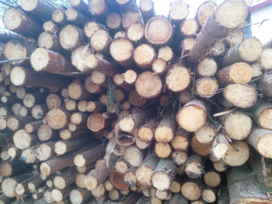 Drewno kominkowe i opałowe